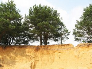 Песчаные почвы предполагают определенные сложности при возведении фундаментов