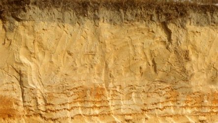 Фундамент на песчаных почвах